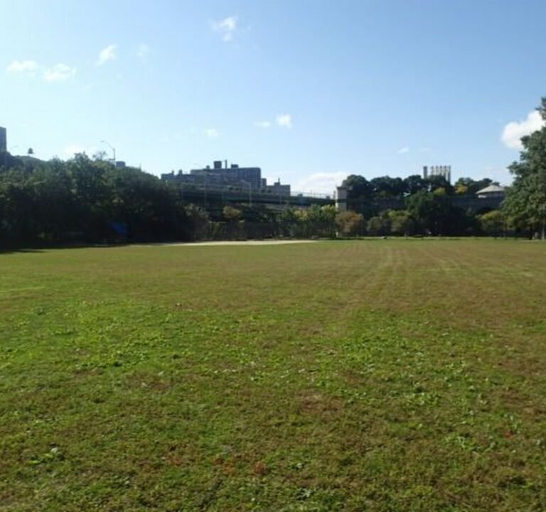 Soccer Field image 3