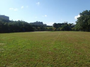 Soccer Field image 1