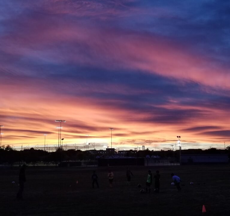 Soccer Field image 2