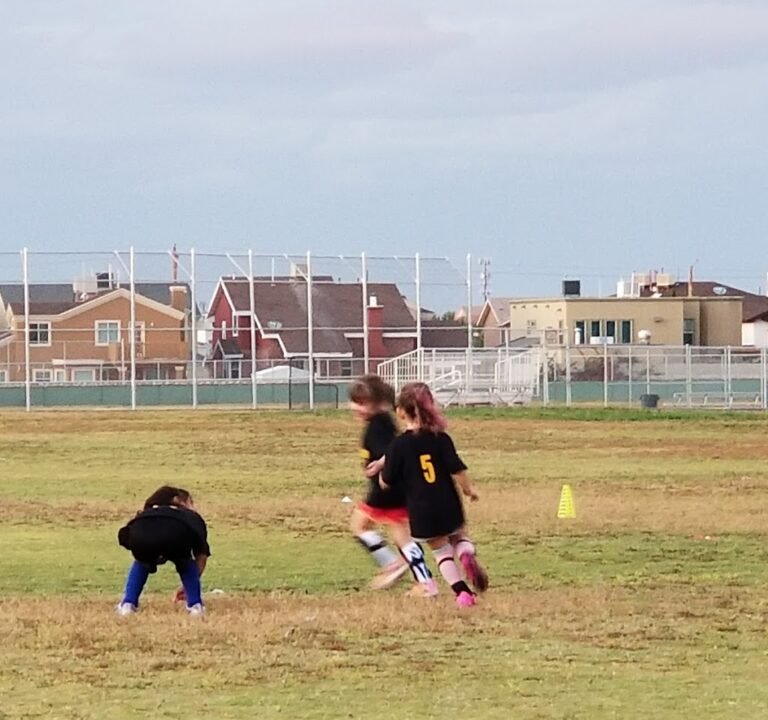 Soccer Field image 2