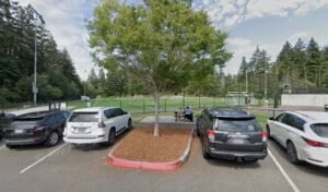 Soccer Field image 1