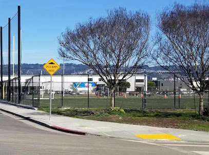 Soccer Field image 1