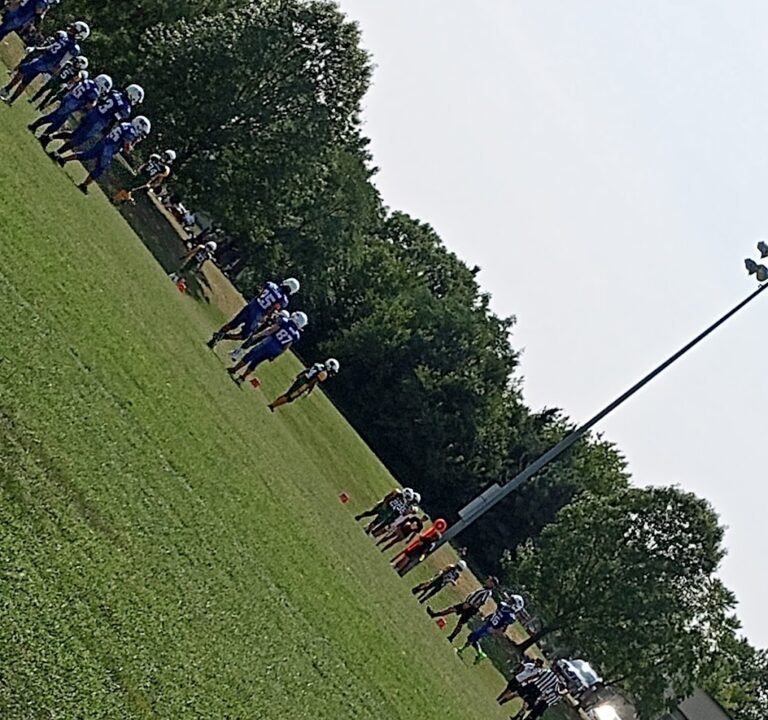 Soccer Field image 2