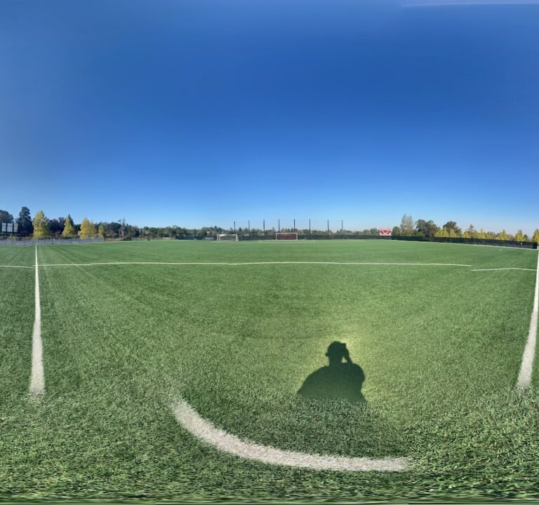 Soccer Field image 2