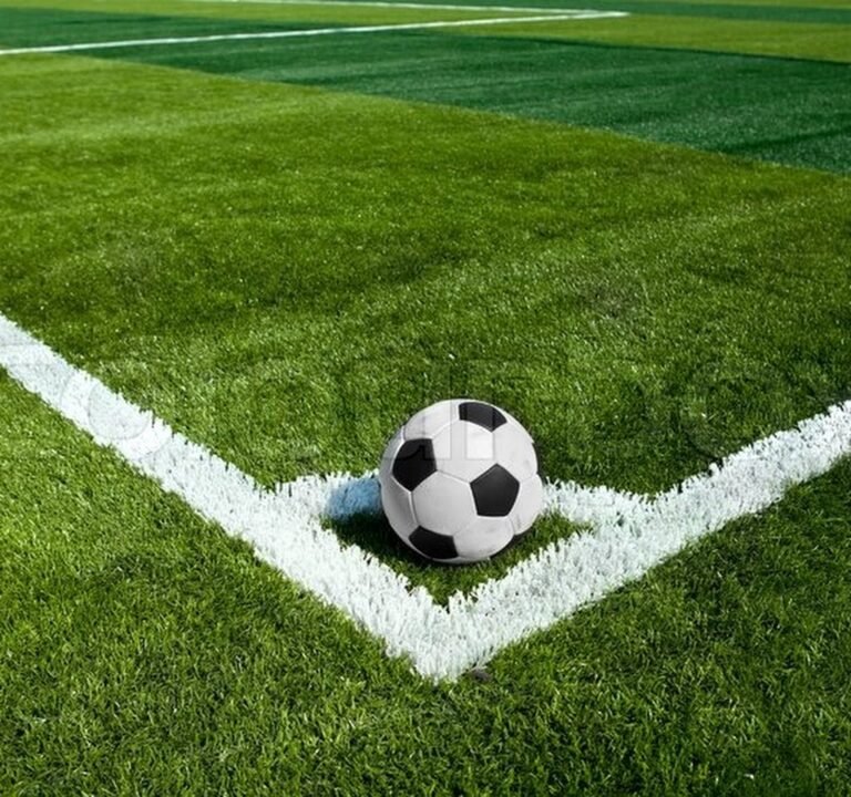 Soccer Field image 2