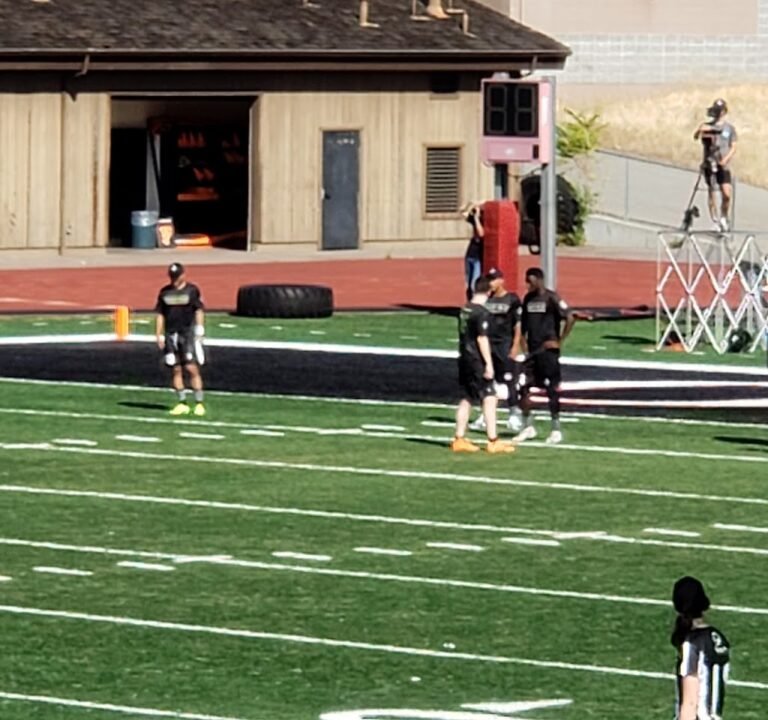 Soccer Field image 2