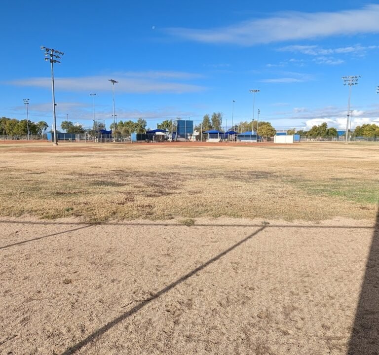 Soccer Field image 2