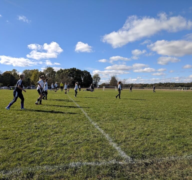 Soccer Field image 2