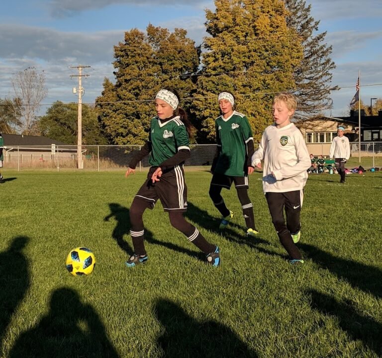 Soccer Field image 3