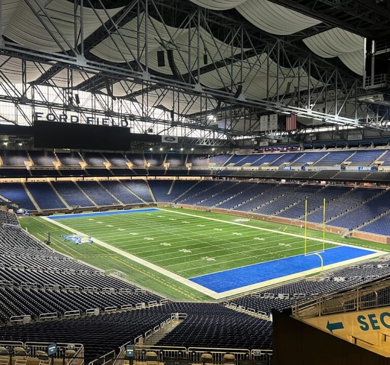 Soccer Field image 2