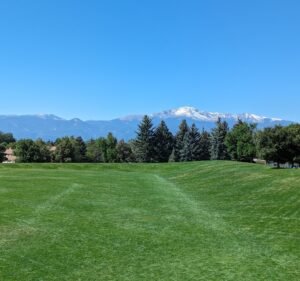 Soccer Field image 2