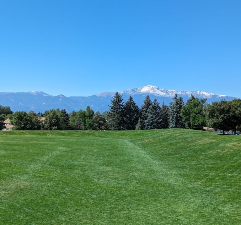 Soccer Field image 2