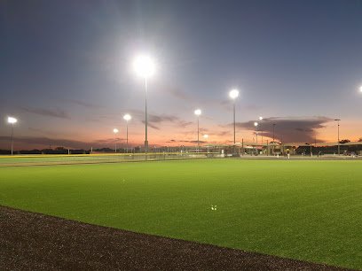 Soccer Field image 1