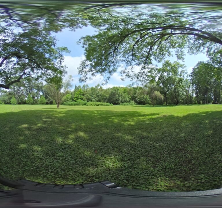 Soccer Field image 3