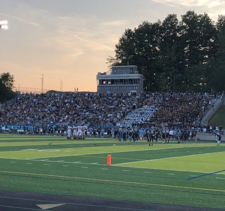 Soccer Field image 2