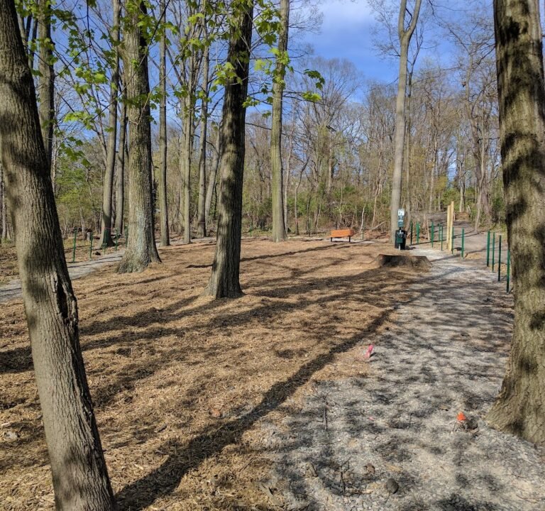 Soccer Field image 2