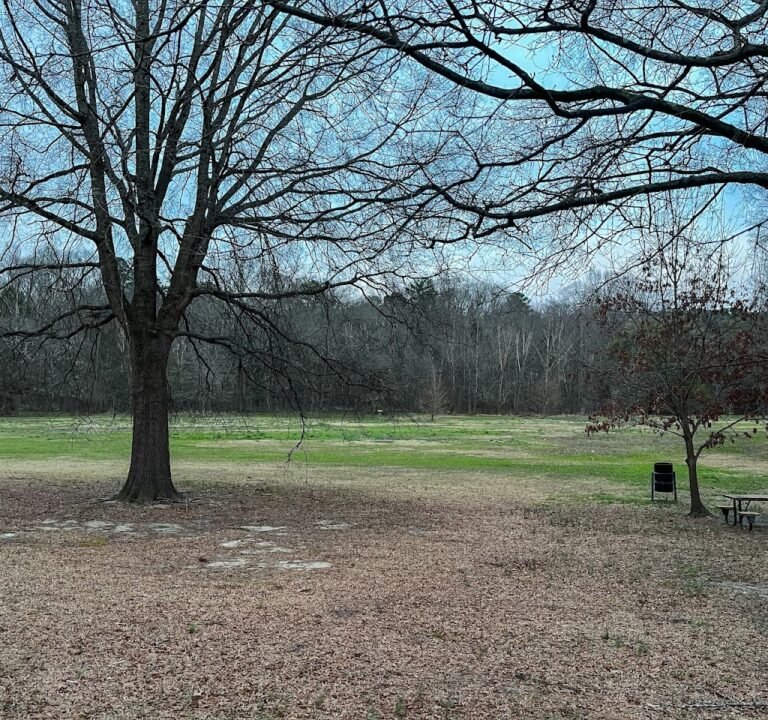 Soccer Field image 3