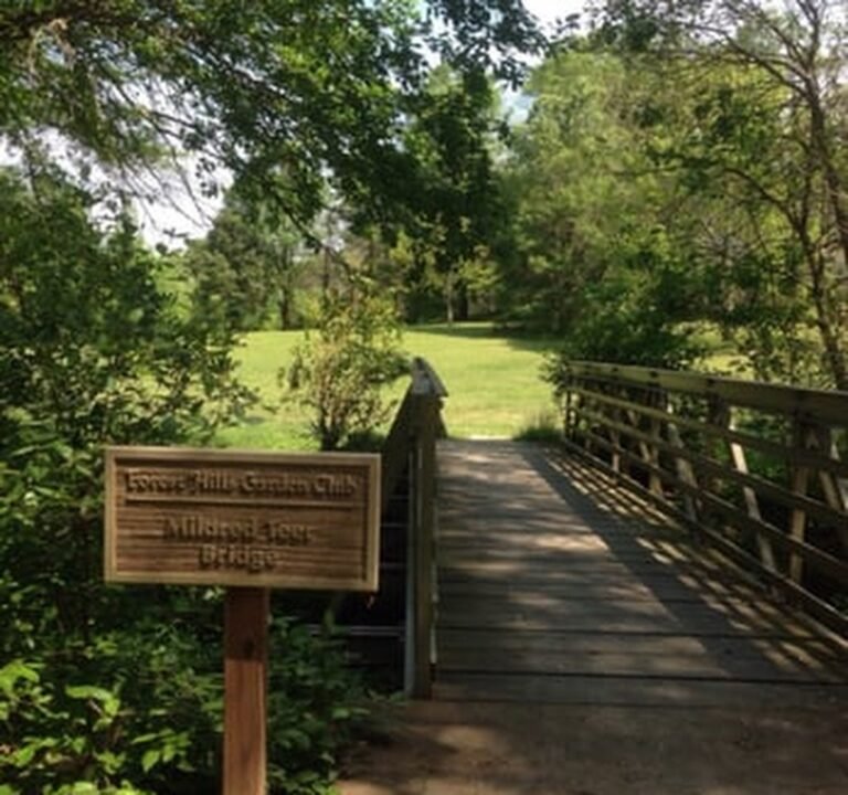 Soccer Field image 2