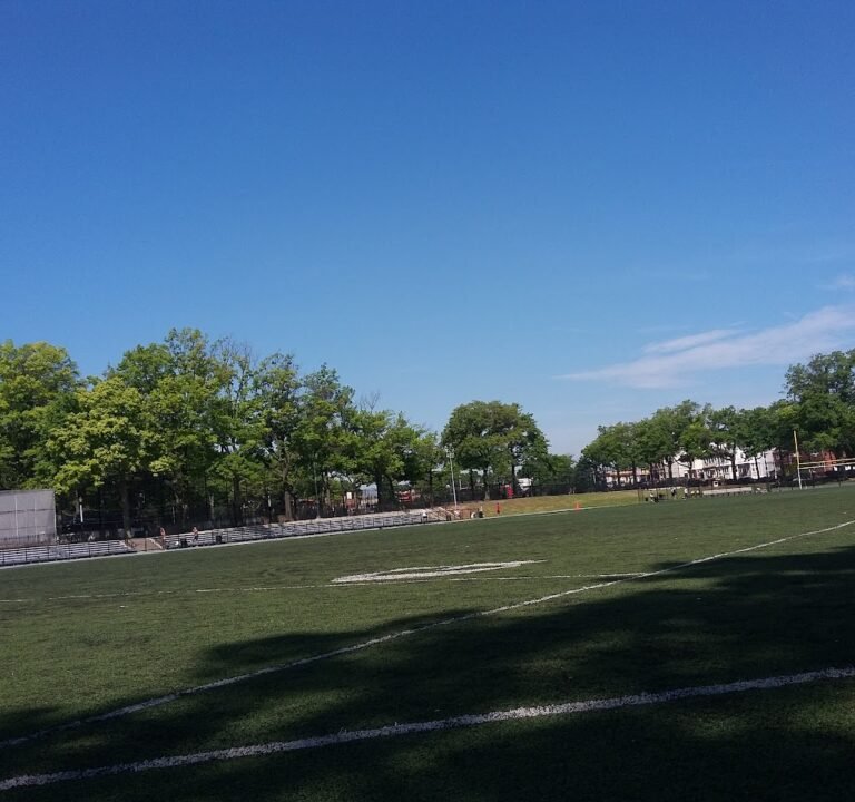 Soccer Field image 3