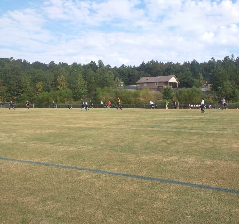 Soccer Field image 3