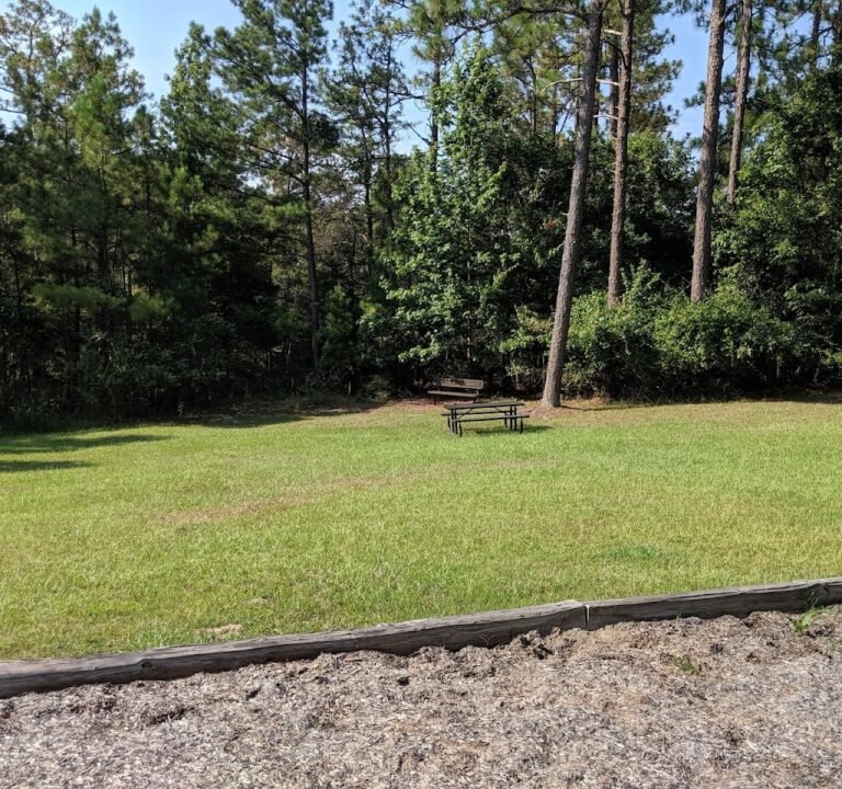 Soccer Field image 2