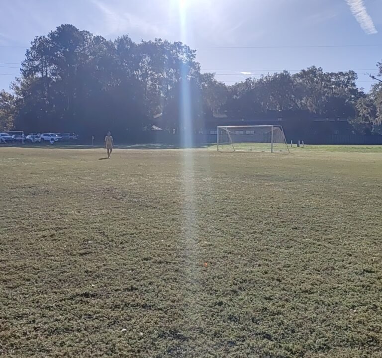 Soccer Field image 2