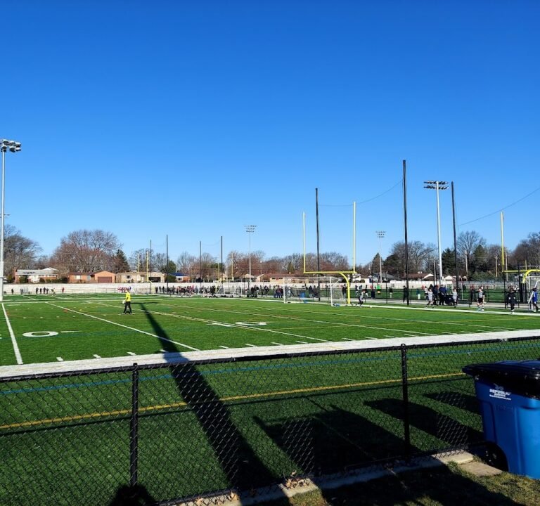 Soccer Field image 2