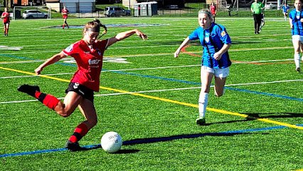 Soccer Field image 1