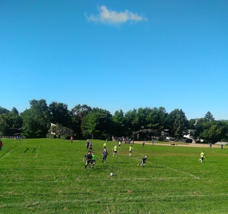 Soccer Field image 2