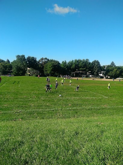 Soccer Field image 1