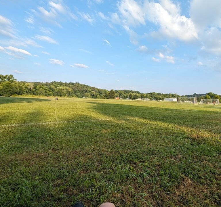 Soccer Field image 2