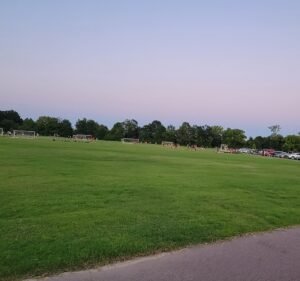 Soccer Field image 2