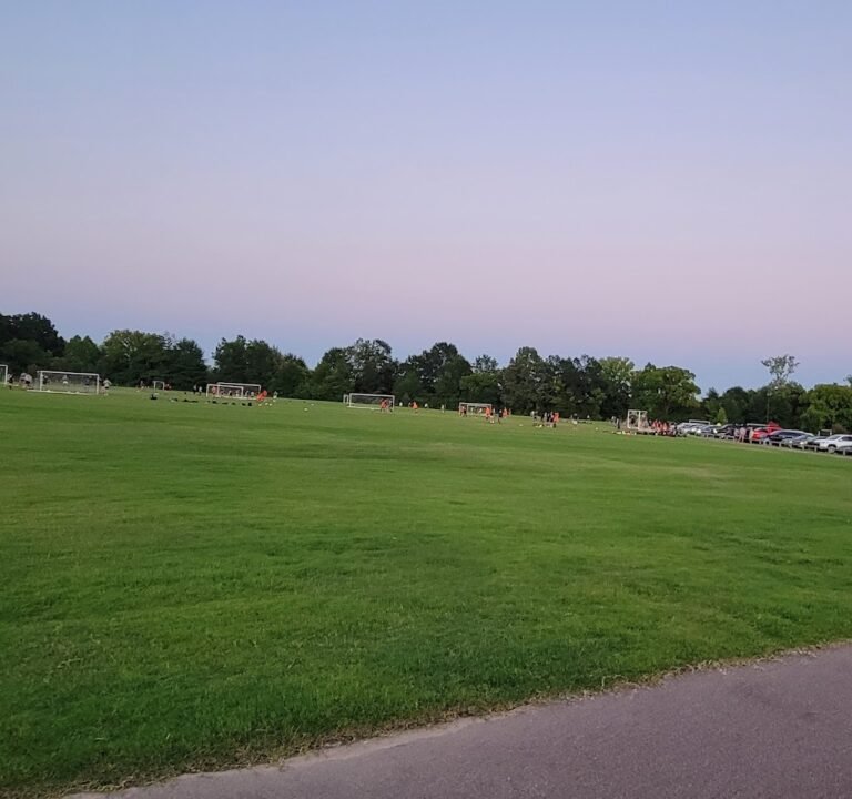 Soccer Field image 2