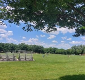 Soccer Field image 2