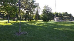 Soccer Field image 1
