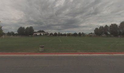 Soccer Field image 1