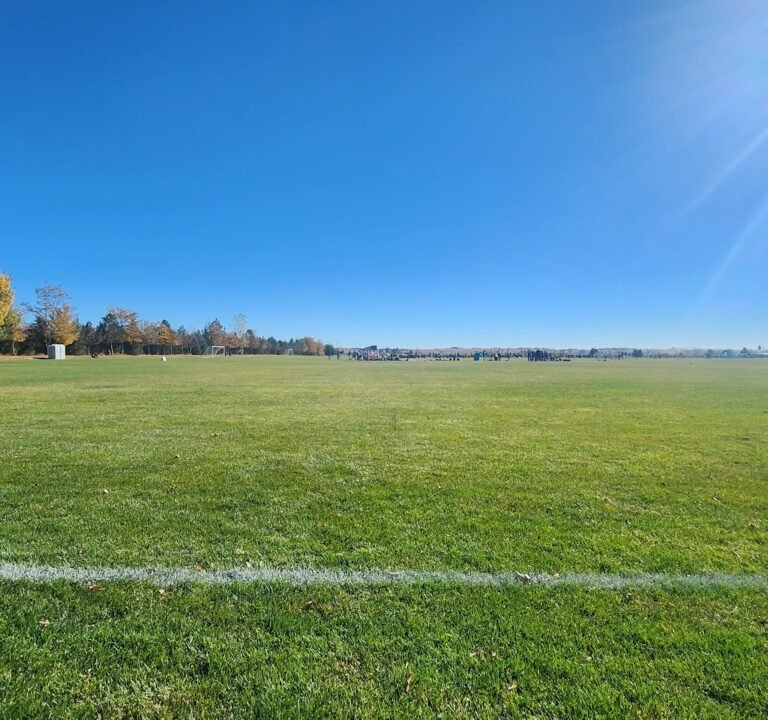 Soccer Field image 2