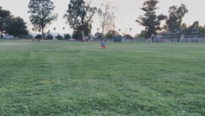 Soccer Field image 1