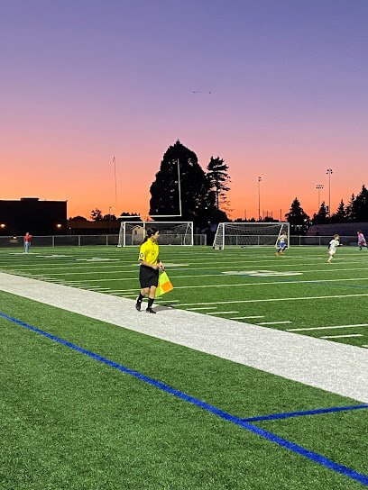 Soccer Field image 1