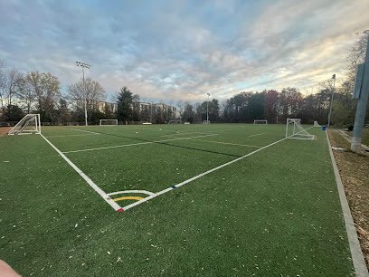 Soccer Field image 1