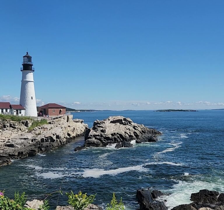 Soccer Field image 4