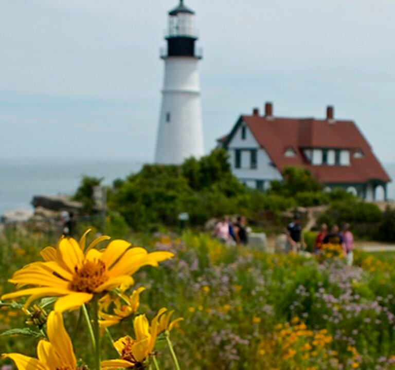 Soccer Field image 2