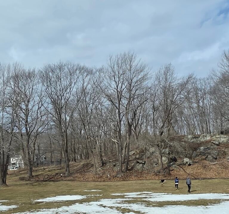 Soccer Field image 3