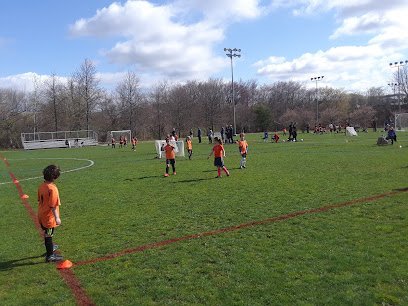 Soccer Field image 1