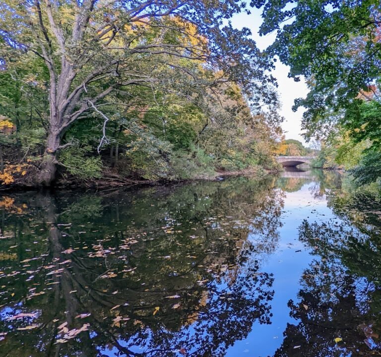 Soccer Field image 2