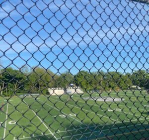 Soccer Field image 2