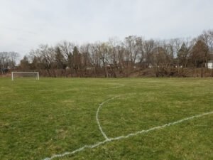 Soccer Field image 1