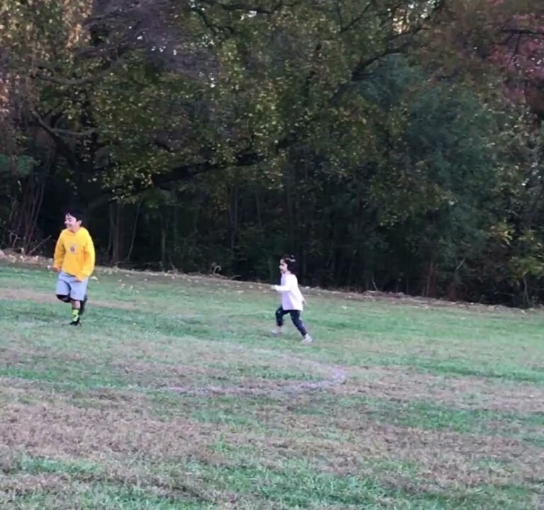 Soccer Field image 2