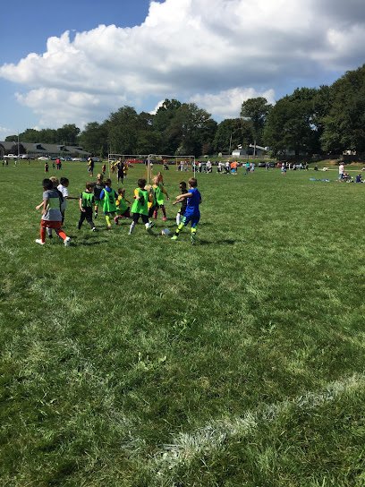 Soccer Field image 1