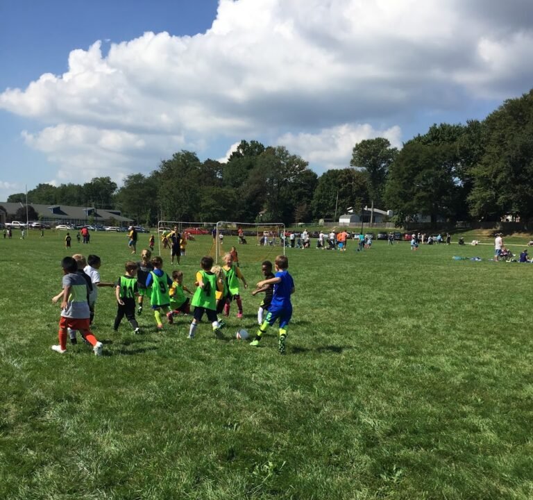 Soccer Field image 3